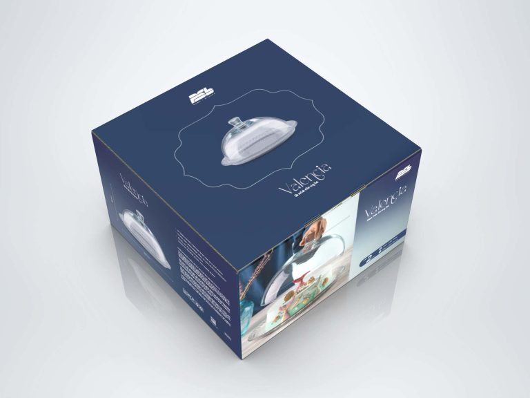 Top view of the box showing the snug fit of the inserts